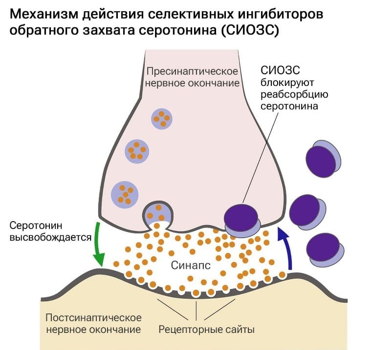 действие антидепрессантов